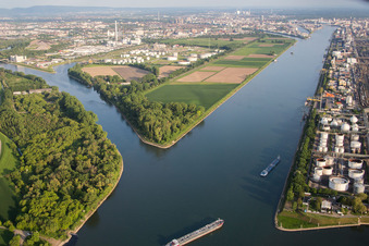 Luftbild von Insel am Ufer des Flußverlaufes des Rhein und des Friesenheimer Altrheins im Ortsteil Friesenheimer Insel in Mannheim im Ortsteil Neckarstadt-West im Bundesland Baden-Württemberg, Deutschland