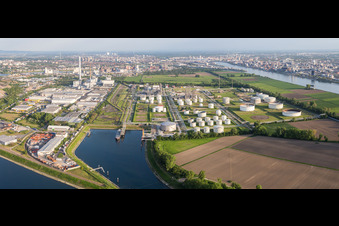 Industrie- und Gewerbegebiet mit MTG Bayer GmbH auf der Friesenheimer Insel im Ortsteil Industriehafen in Mannheim im Ortsteil Neckarstadt-West im Bundesland Baden-Württemberg, Deutschland