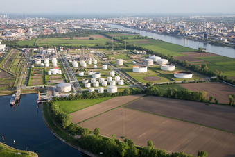 Schrägluftbild von BASF Friesenheim im Ortsteil Neckarstadt-West in Mannheim im Bundesland Baden-Württemberg, Deutschland