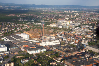 Essity im Ortsteil Sandhofen in Mannheim im Bundesland Baden-Württemberg, Deutschland