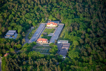 Schulgebäude der Eugen-Neter-Schule im Wald von Ortsteil Blumenau in Mannheim im Ortsteil Sandhofen im Bundesland Baden-Württemberg, Deutschland