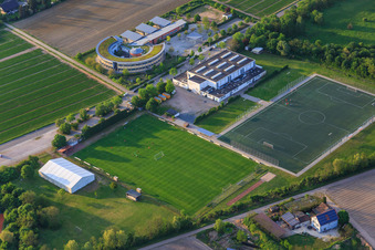Pestalozzischule und Sportplatz des TV Lampertheim e.V im Bundesland Hessen, Deutschland