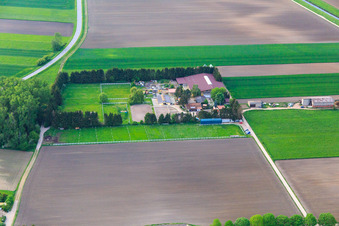 Stall Rutenhof in Lorsch im Bundesland Hessen, Deutschland