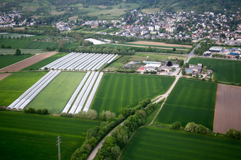Schrägluftbild von Ortsteil Auerbach in Bensheim im Bundesland Hessen, Deutschland