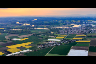 Stadtansicht am Rheinbogen am Abend in Gernsheim im Bundesland Hessen, Deutschland