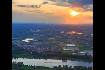 Sonnenutergang überm Rhein in Hamm am Rhein im Bundesland Rheinland-Pfalz, Deutschland