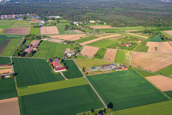 Kuhle Jule @ Fasanenhof und Falkenhof in Pfungstadt im Bundesland Hessen, Deutschland