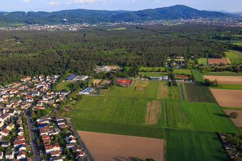 Seeheimer Straße in Pfungstadt im Bundesland Hessen, Deutschland