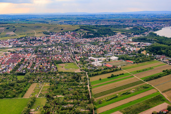 Tiergarten Oppenheim im Bundesland Rheinland-Pfalz, Deutschland
