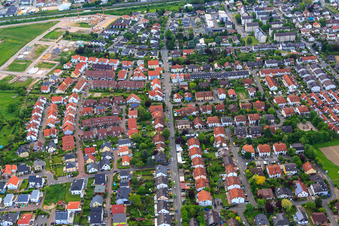 Im Grohfuß in Oppenheim im Bundesland Rheinland-Pfalz, Deutschland