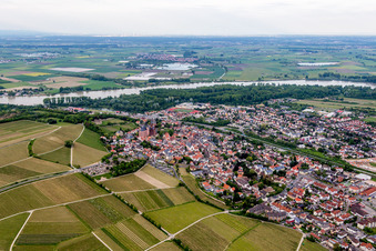 Luftbild von Ortschaft mit Katharinenkirche und Burg Landskron an den Fluss- Uferbereichen des Rhein in Oppenheim im Bundesland Rheinland-Pfalz, Deutschland