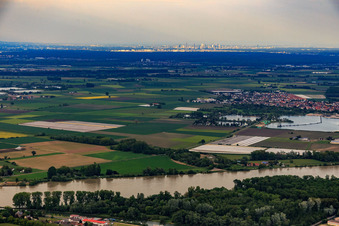 Luftbild von Skyline Frankfurt am Main vom Rhein bei Oppenheim aus im Ortsteil Niederrad im Bundesland Hessen, Deutschland