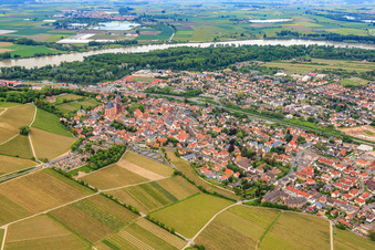 Friedhof und Katharinenkirche Oppenheim im Bundesland Rheinland-Pfalz, Deutschland
