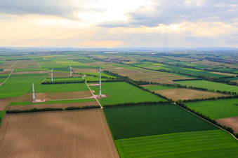 Windpark in Undenheim im Bundesland Rheinland-Pfalz, Deutschland