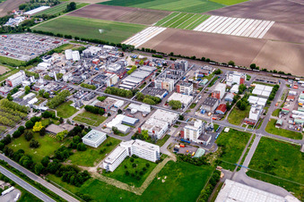 Gebäude und Produktionshallen auf dem Werksgelände des Chemieproduzenten BASF Lampertheim GmbH in Lampertheim im Bundesland Hessen, Deutschland