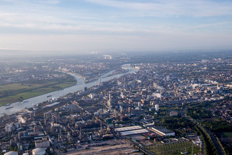 Ortsteil BASF in Ludwigshafen am Rhein im Bundesland Rheinland-Pfalz, Deutschland von der Drohne aus gesehen