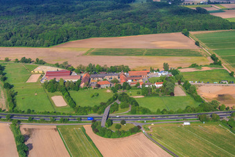 Pferdepension Kinzigheimerhof in Bruchköbel im Bundesland Hessen, Deutschland