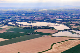 Silbersee am Abend im Ortsteil Roxheim in Bobenheim-Roxheim im Bundesland Rheinland-Pfalz, Deutschland