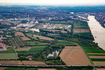 Friesenheimer Insel im Ortsteil Neckarstadt-West in Mannheim im Bundesland Baden-Württemberg, Deutschland