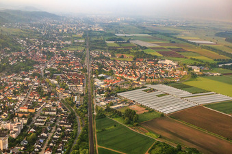 Zwingenberg/Sandwiese