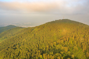Luftbild von Sendemasten auf dem Melibokus im Ortsteil Hochstädten in Bensheim im Bundesland Hessen, Deutschland