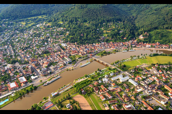Stadtübersicht aus Norden am Main in Miltenberg im Bundesland Bayern, Deutschland