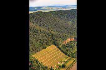 Bürgstadt/Kirschfurt