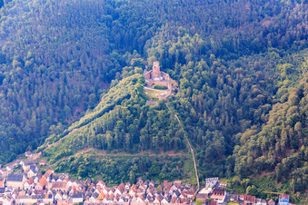 Luftbild von Burg Freudenberg im Bundesland Baden-Württemberg, Deutschland