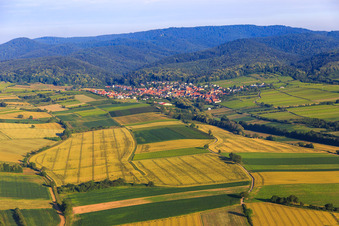 Felder und Weinberge bis zum Pfälzerwald in Oberotterbach im Bundesland Rheinland-Pfalz, Deutschland