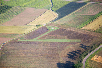 Luftbild von Oberhoffen-lès-Wissembourg, Modellflugplatz im Bundesland Bas-Rhin, Frankreich