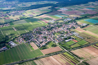Luftbild von Dorf - Ansicht am Rande von landwirtschaftlichen Feldern und Nutzflächen in Weingarten (Pfalz) im Bundesland Rheinland-Pfalz, Deutschland