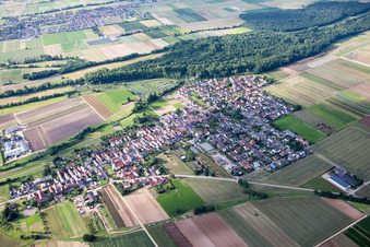 Dorf - Ansicht am Rande von landwirtschaftlichen Feldern und Nutzflächen in Freisbach im Bundesland Rheinland-Pfalz, Deutschland