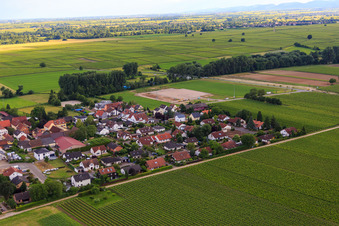 Mandelbergstr im Ortsteil Duttweiler in Neustadt an der Weinstraße im Bundesland Rheinland-Pfalz, Deutschland