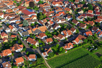 Im Tränkweg in Venningen im Bundesland Rheinland-Pfalz, Deutschland