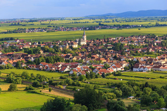 Ortsansicht aus Nordosten in Edesheim im Bundesland Rheinland-Pfalz, Deutschland von oben