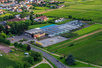 Gartencenter Edesheim GmbH im Bundesland Rheinland-Pfalz, Deutschland