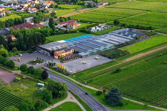 Luftbild von Gartencenter Edesheim GmbH im Bundesland Rheinland-Pfalz, Deutschland