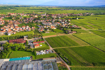 Luftaufnahme von Ortsansicht aus Norden mit Gartencenter Edesheim GmbH im Bundesland Rheinland-Pfalz, Deutschland