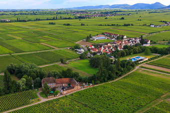 Luftaufnahme von Weingut Erlenmühle in Edesheim im Bundesland Rheinland-Pfalz, Deutschland