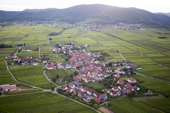 Dorf - Ansicht am Rande von Weinbergen in Flemlingen im Bundesland Rheinland-Pfalz, Deutschland
