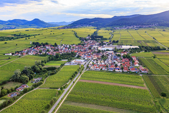 Winzerdorfansicht aus Osten in Böchingen im Bundesland Rheinland-Pfalz, Deutschland