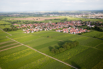 Luftbild von Ortsteil Nußdorf in Landau in der Pfalz im Bundesland Rheinland-Pfalz, Deutschland