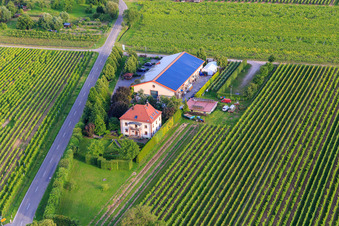 Villa Hochdörffer - Weingut & Gästehaus im Ortsteil Nußdorf in Landau in der Pfalz im Bundesland Rheinland-Pfalz, Deutschland