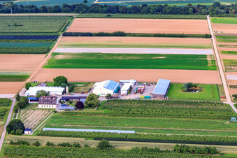 Bauers Garten in Winden im Bundesland Rheinland-Pfalz, Deutschland