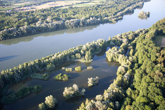 Luftbild von Isarauwald im Ortsteil Oberhöcking in Landau an der Isar im Bundesland Bayern, Deutschland
