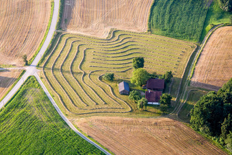 Bauernhofes am Rand gemähten Wiesen in Reisbach im Ortsteil Altersberg im Bundesland Bayern, Deutschland
