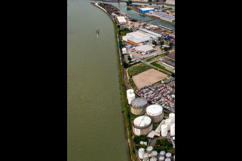 Rheinauhafen in Mannheim im Bundesland Baden-Württemberg, Deutschland aus der Luft