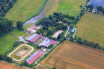 Reitclub Altrip e.V im Bundesland Rheinland-Pfalz, Deutschland