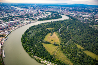 Reißinsel im Ortsteil Niederfeld in Mannheim im Bundesland Baden-Württemberg, Deutschland