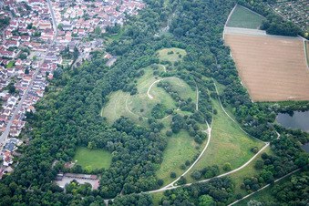 Michaelsberg im Maudacher Bruch in Ludwigshafen am Rhein im Bundesland Rheinland-Pfalz, Deutschland